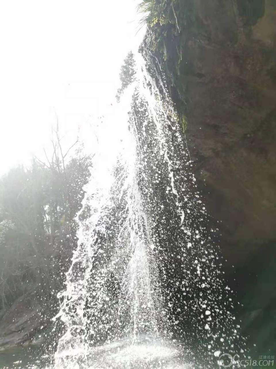海胆壳可以做成农作物肥料吗-快速解答你的问题