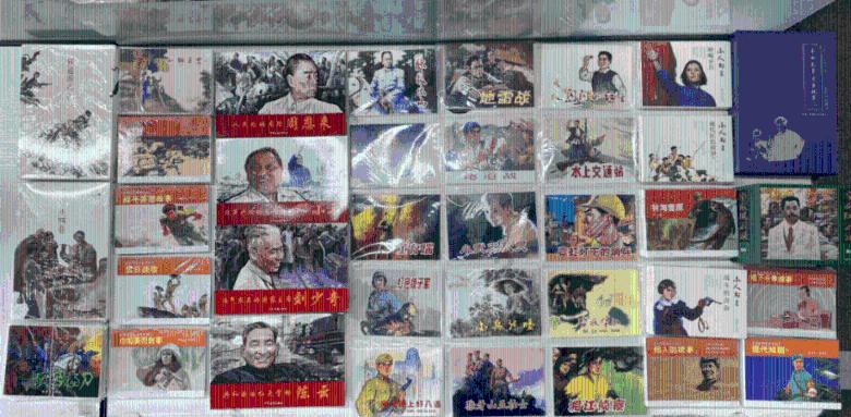 这是什么昆虫?-专业问答平台